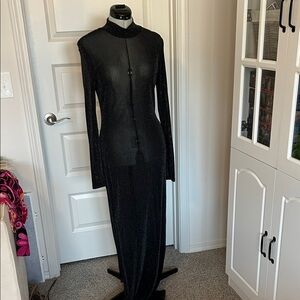 Elegant Sparkly Sheer Dress